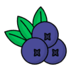 Organic Foods