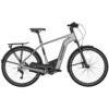 Bergamont E-Horizon Premium SUV chrome (matt) 2022