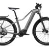 Flyer Goroc2 2.10 - 750 Wh - 2022 - 29 Zoll - Diamant