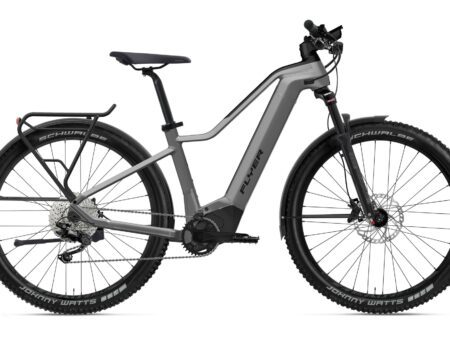 Flyer Goroc2 2.10 - 750 Wh - 2022 - 29 Zoll - Diamant