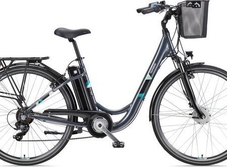 Telefunken E-Bike »Multitalent RC822«