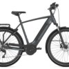 Gazelle Ultimate T10 HMB - 500 Wh - 2022 - 28 Zoll - Diamant