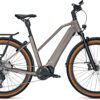 Kalkhoff Entice 5.B Advance+