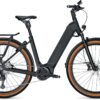 Kalkhoff Entice 5.B Advance+ Wave