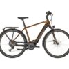 Bergamont E-Horizon Elite Gent - 625 Wh - 2020 - 28 Zoll - Diamant