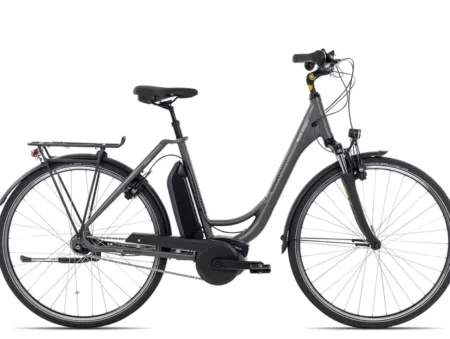 Raleigh Cardiff LB Plus R