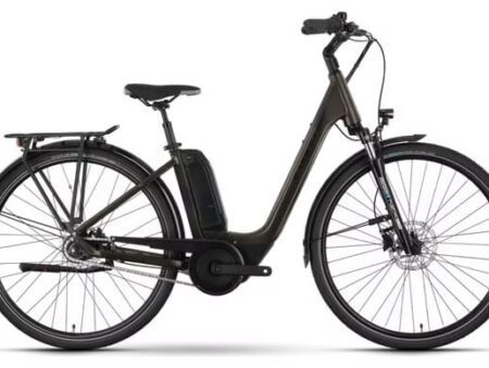 Raymon CityRay E 4.0 SE Elektro-Citybike Shimano Nexus 8S 500Wh 700mm Braun 2024