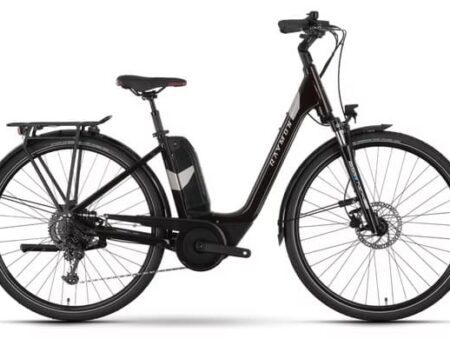 Raymon CityRay E 6.0 SE Elektro-Citybike Shimano Nexus 5S 500Wh 700mm Schwarz 2024